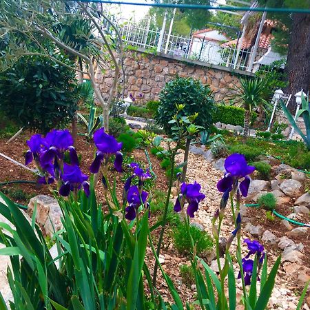 Beach House Starigrad Paklenica Ngoại thất bức ảnh