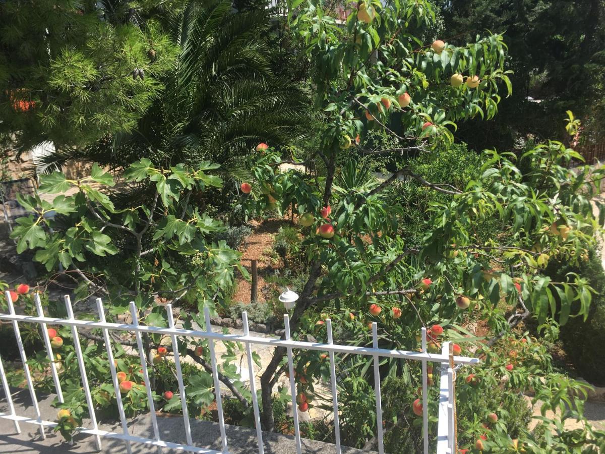 Beach House Starigrad Paklenica Ngoại thất bức ảnh